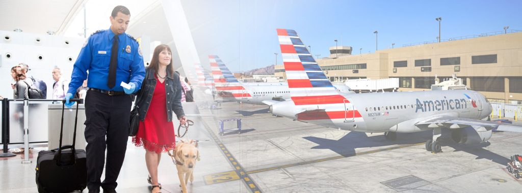 American Airlines Manage Booking