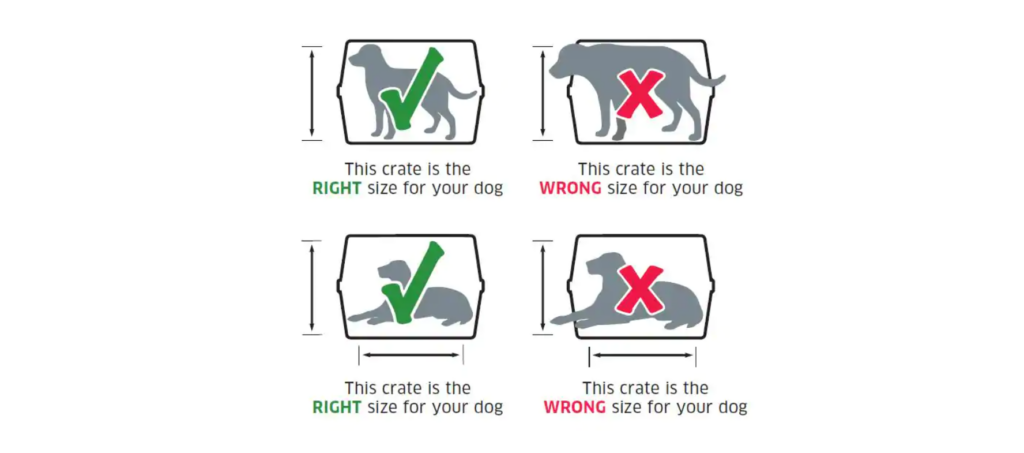 United Pet Policy
