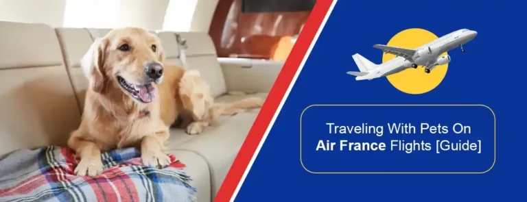Air France Pet Travel Policy