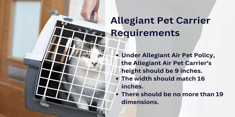 allegiant air pet travel requirements