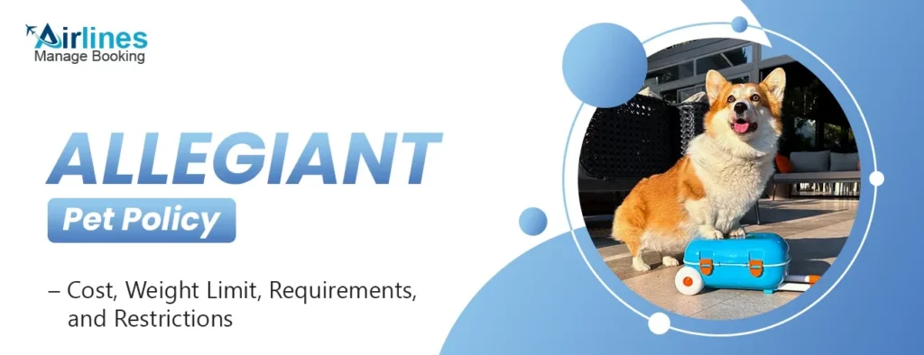 allegiant air pet travel policy