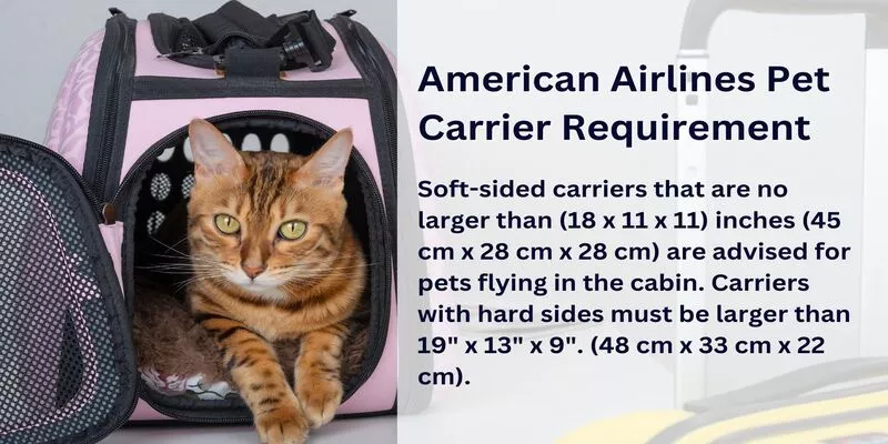 American Airlines Pet Carrier Requirement