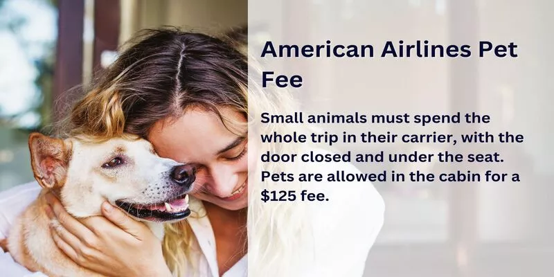 American Airlines Pet Fee