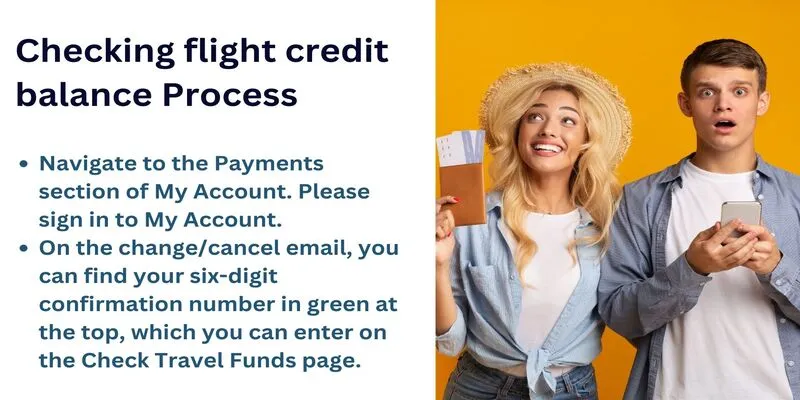 Checking flight credit balance Process