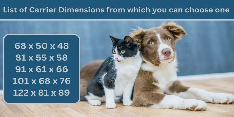 Delta Airlines Pet Carrier Dimensions