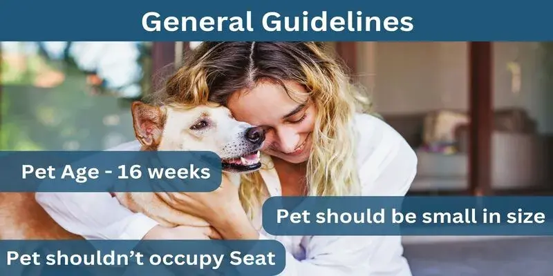 Delta Airlines Pet Requirements