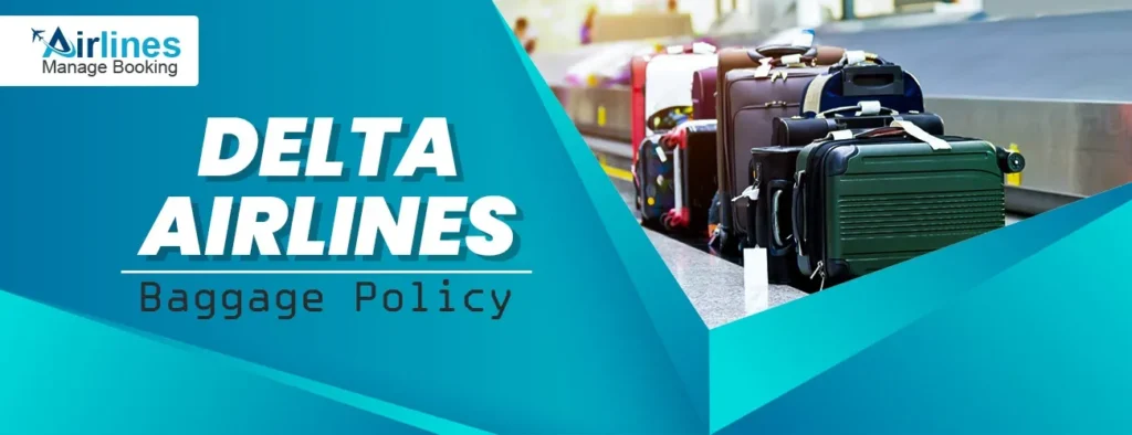 Delta Airlines Baggage Allowance