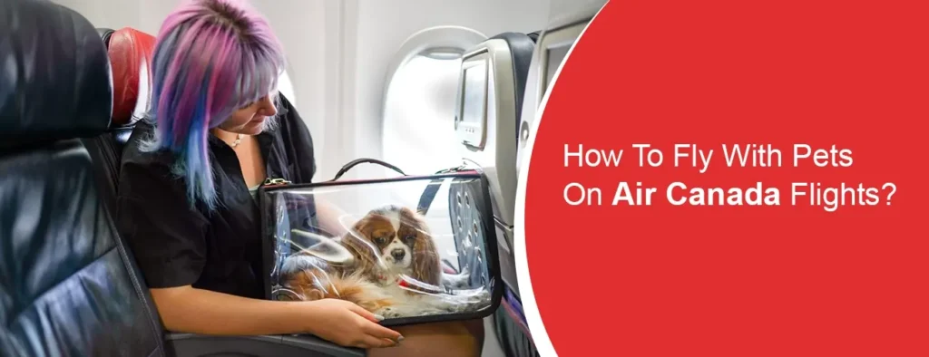 Air Canada Pet Travel Policy