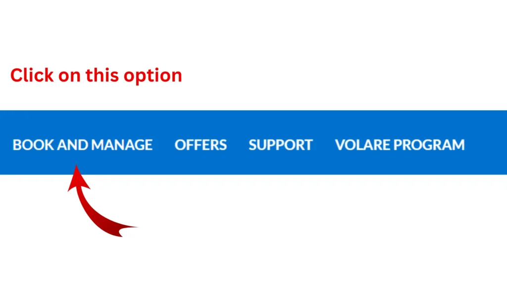 ITA Airways book and manage option