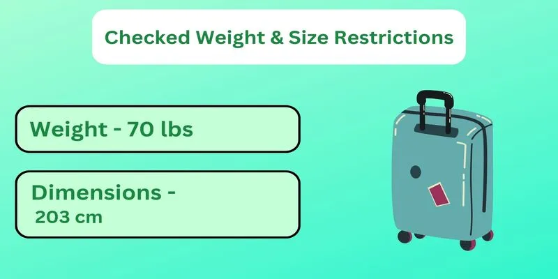 Japan Airlines Baggage Requirements