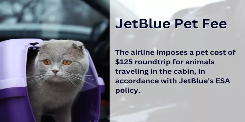JetBlue Pet Fee