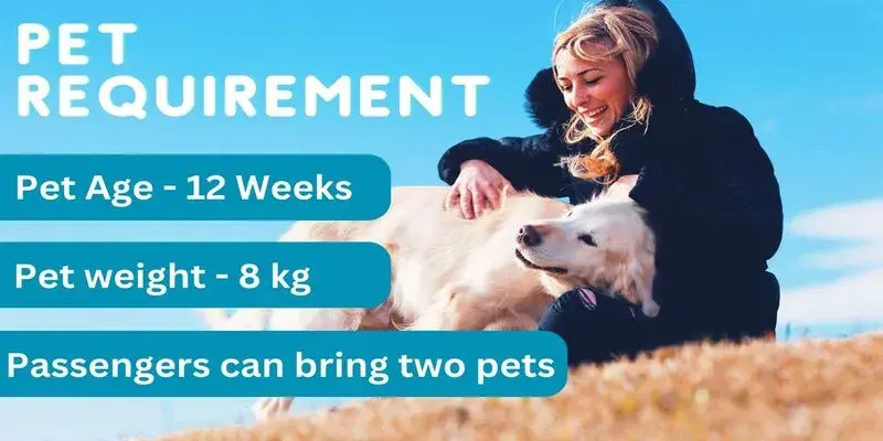 Lufthansa Airlines Pet Requirements