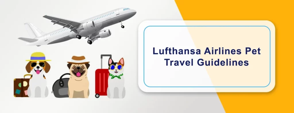 Lufthansa Airlines Pet Policy