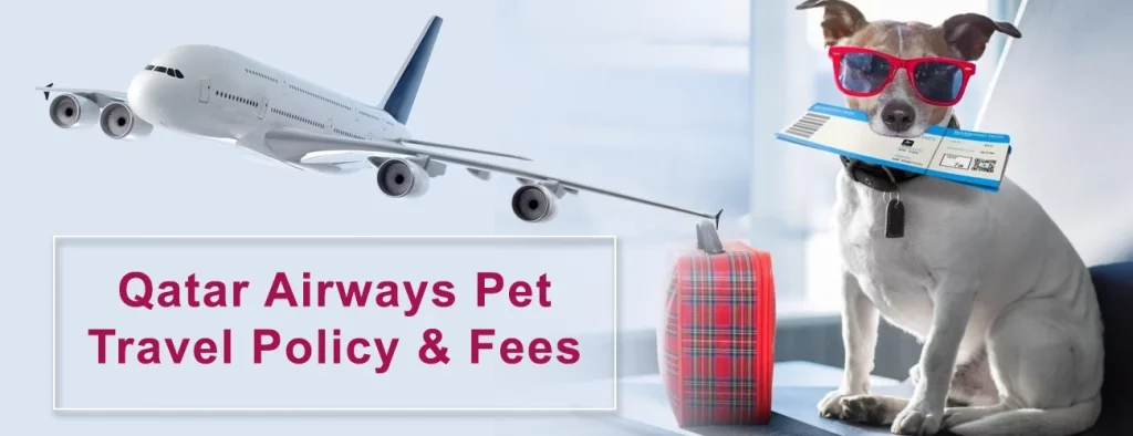 Qatar Airways Pet Travel