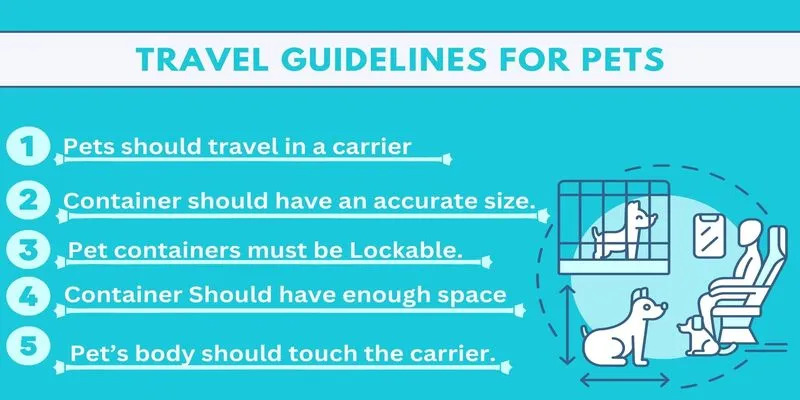 Qatar Airways Travel Guidelines For Pets