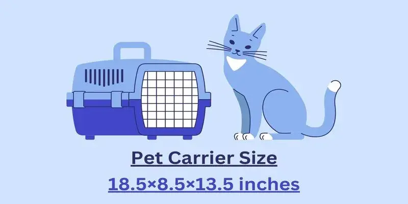 Southwest Airlines Pet Carrier Requirements