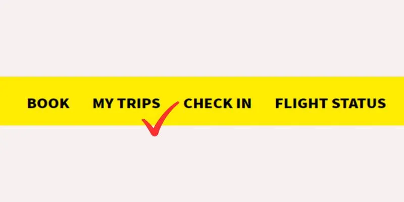 Spirit Airlines Manage Trips