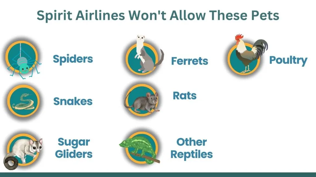 Spirit Airlines Restricted Pets