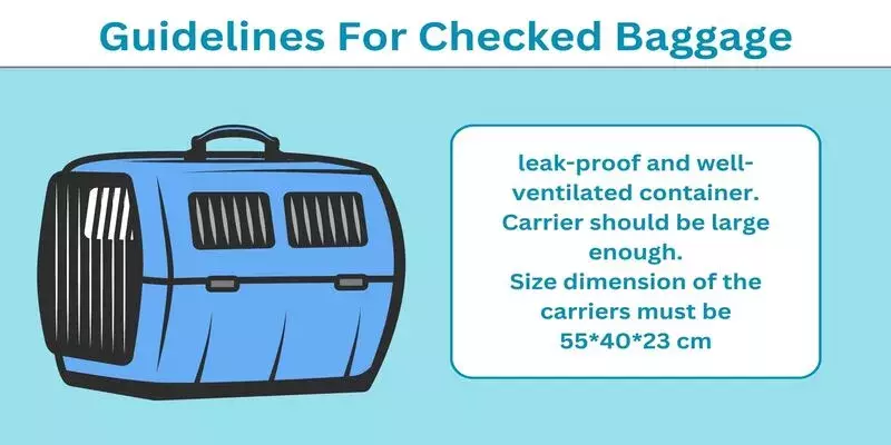 Swiss Air Checked Baggage Guidelines For Pets