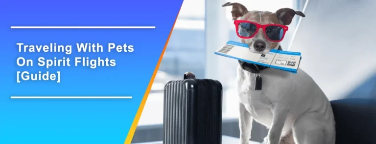 Spirit Airlines Pet Travel Policy