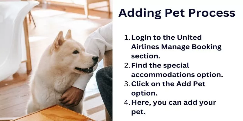 United Airlines Adding Pet Process