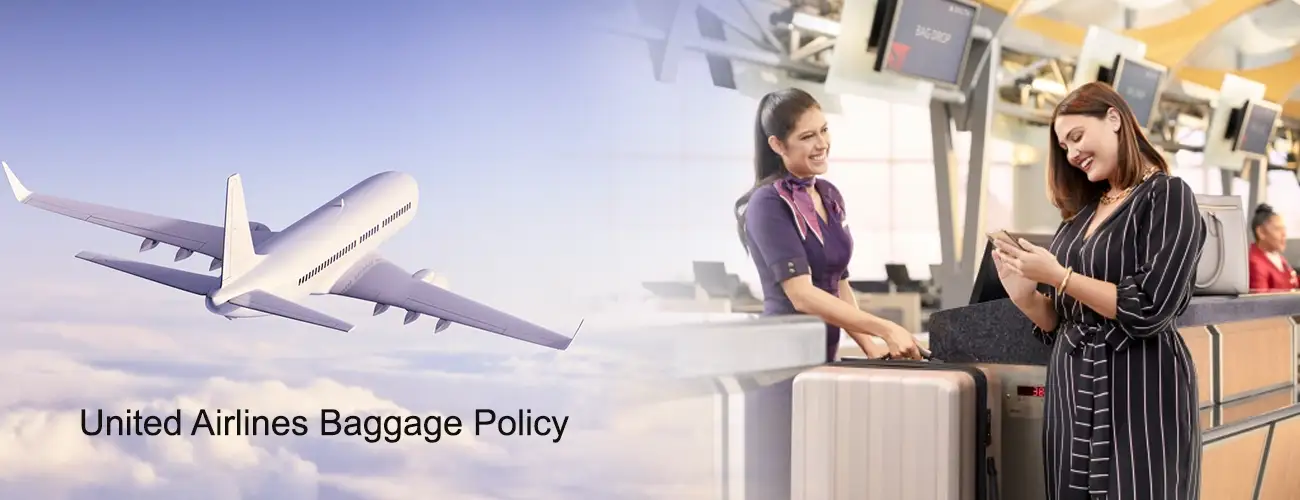 United Airlines Carry On Baggage Allowance and Baggage Fees 2022.  LuggageToShip