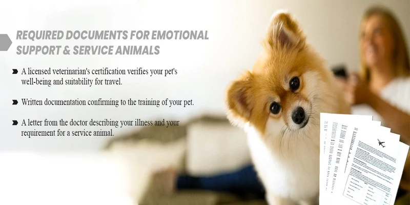 Required documents for Emotional Support and Service Animals